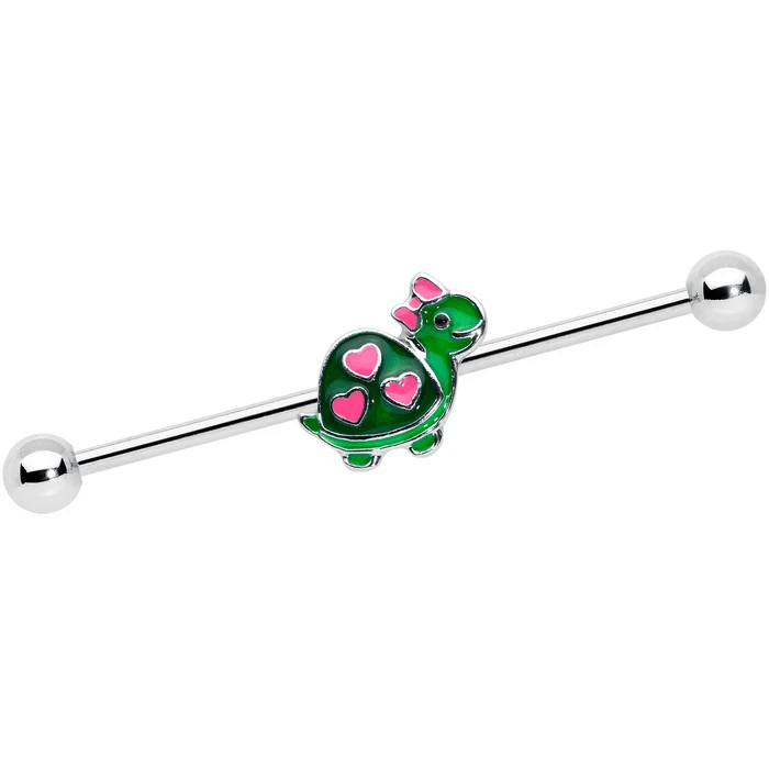 Green Heart Turtle Industrial Barbell π’π