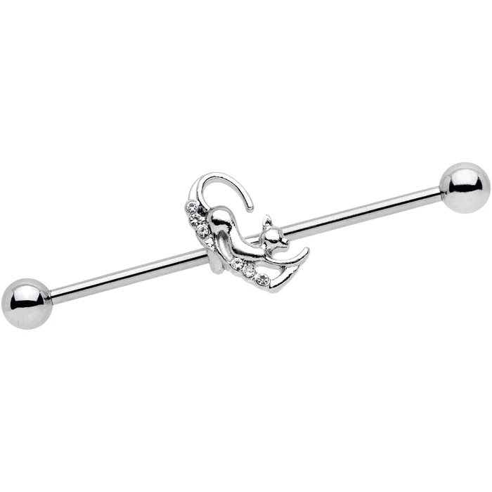 Silver Cat Industrial Barbell π±β¨